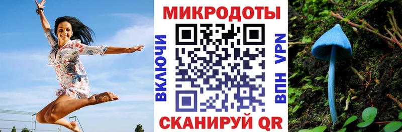 что такое   Сызрань  Галлюциногенные грибы Psilocybine cubensis 